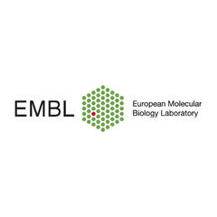 European Molecular Biology Laboratory EMBL